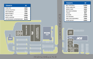 Custom Vector Site Plan